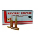 Revital Fosforo Jalea real vitaminas 20 Ampollas