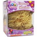 Hypnos Esponja Marina Dora Exploradora