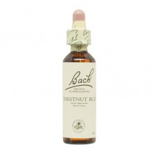 Flores de Bach Chestnut Bud Brote Castaño 20ml