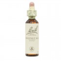 Flores de Bach Chestnut Bud Brote Castaño 20ml