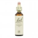 Flores de Bach Clematis Clematide 20ml