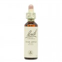 Flores de Bach Crab Apple Manzano Silvestre 20ml