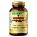 Solgar Sfp Ginkgo Biloba Extracto Puro 60 Capsulas Vegetales