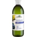 Corpore Sano Gel de Baño Antioxidante Arandanos Argan 600ml