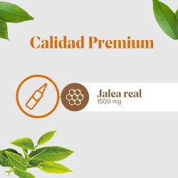 Arkoreal Jalea Real Forte Plus 1500 mg 20 Ampollas